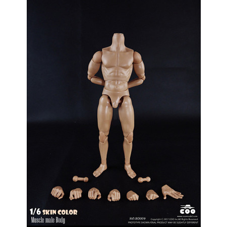 1/6 Scale Muscle male Body